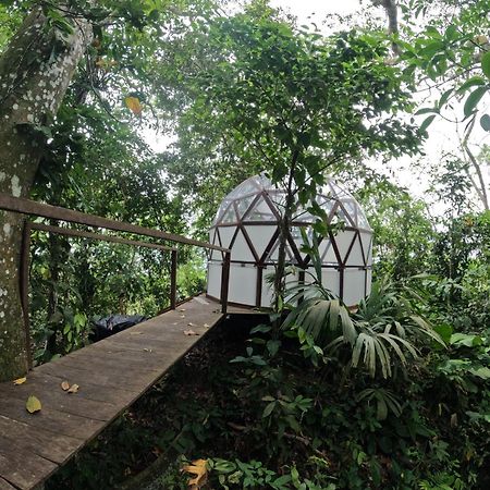 Taorayina Nature Lodge- Immersed In The Forest El Zaino Buitenkant foto