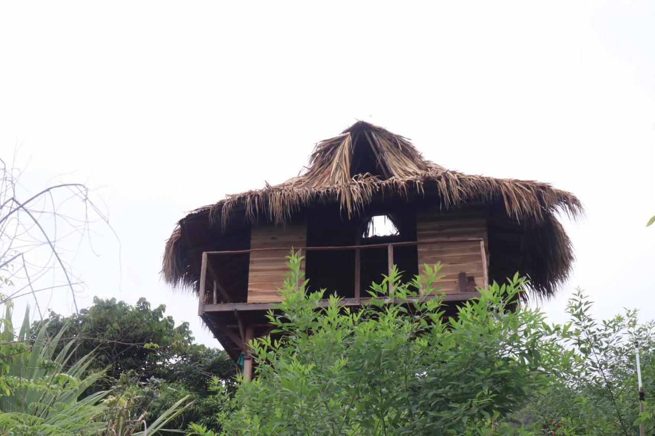 Taorayina Nature Lodge- Immersed In The Forest El Zaino Buitenkant foto