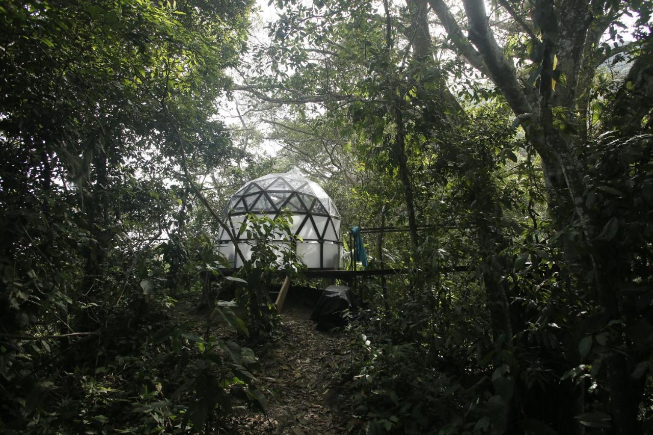Taorayina Nature Lodge- Immersed In The Forest El Zaino Buitenkant foto