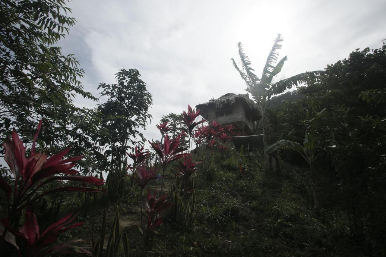 Taorayina Nature Lodge- Immersed In The Forest El Zaino Buitenkant foto