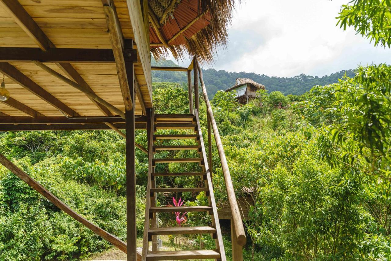 Taorayina Nature Lodge- Immersed In The Forest El Zaino Buitenkant foto