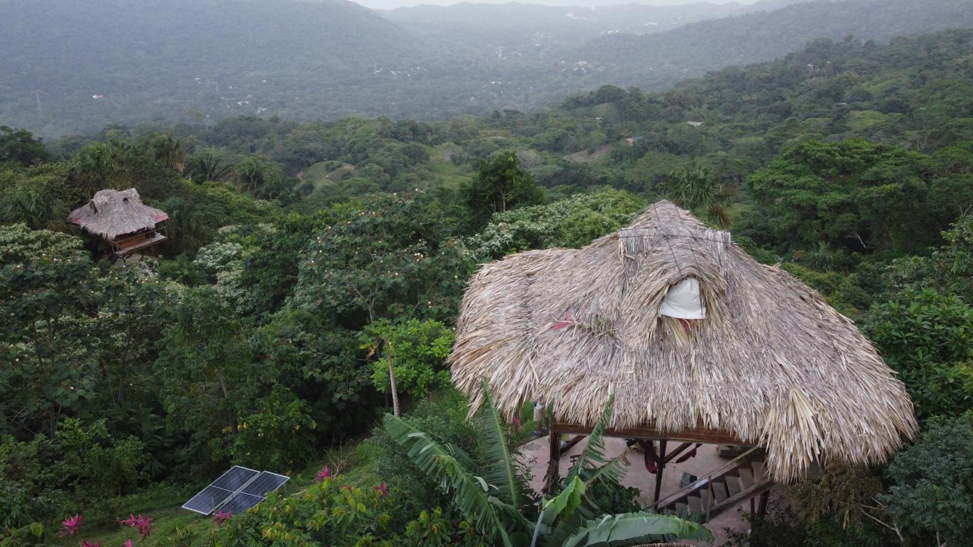 Taorayina Nature Lodge- Immersed In The Forest El Zaino Buitenkant foto