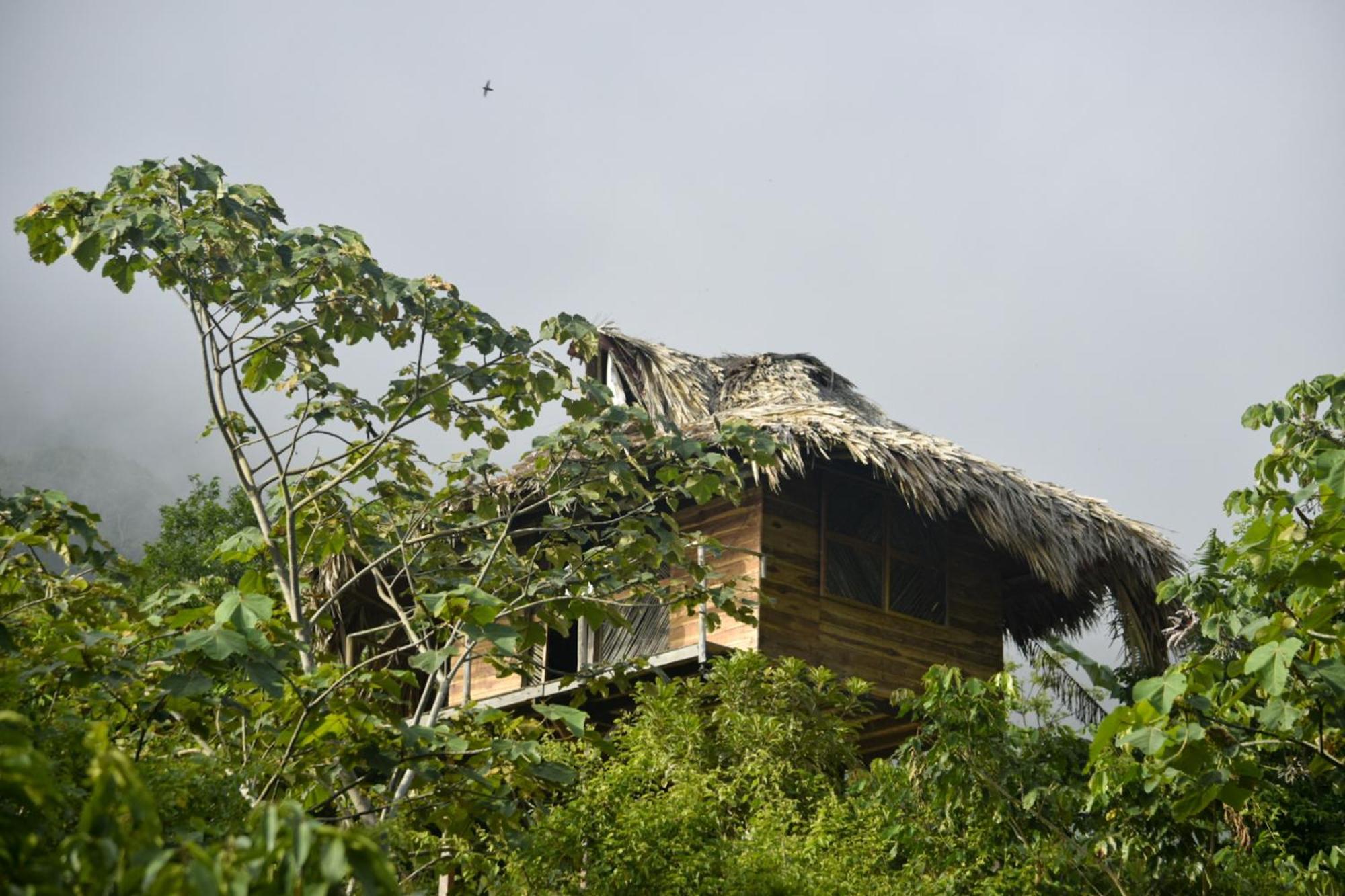 Taorayina Nature Lodge- Immersed In The Forest El Zaino Buitenkant foto