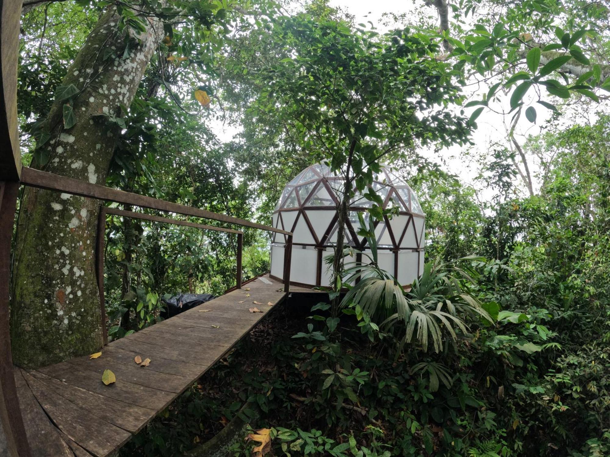 Taorayina Nature Lodge- Immersed In The Forest El Zaino Buitenkant foto