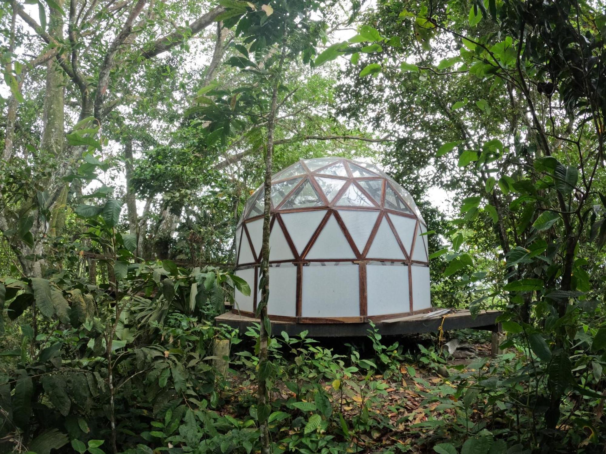 Taorayina Nature Lodge- Immersed In The Forest El Zaino Buitenkant foto