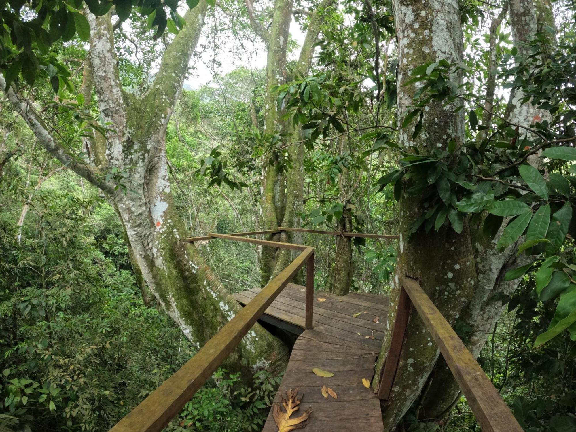 Taorayina Nature Lodge- Immersed In The Forest El Zaino Buitenkant foto